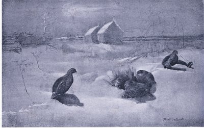 Partridges in the snow by Frank Southgate